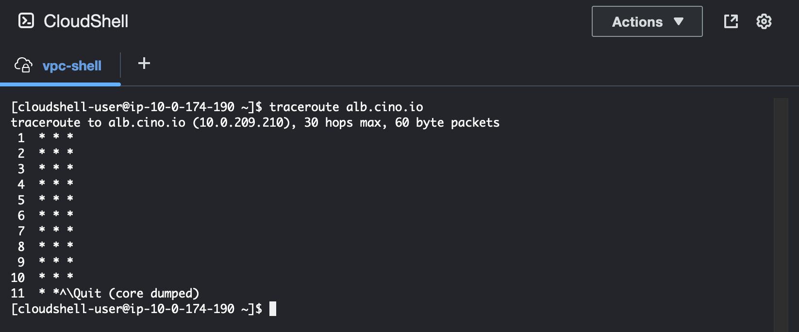 Aws cloudshell in your own vpc cino