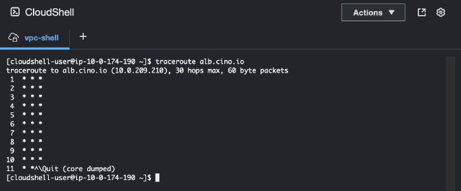 CloudShell example with traceroute to private dns record